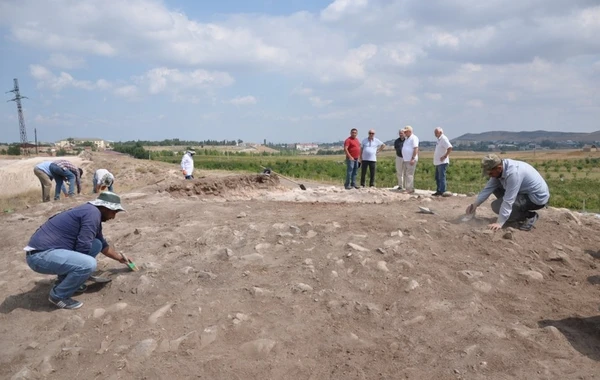 Göygöl kurqanlarında qədim dövrə aid qəbirlər aşkarlanıb - FOTO