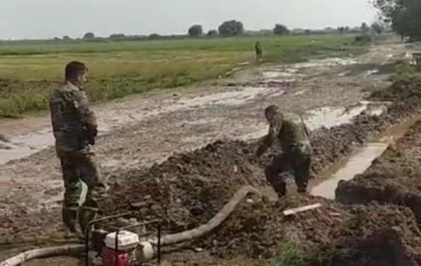 Beyləqanın kəndlərində həyətyanı sahələri su basıb - FOTO/VİDEO