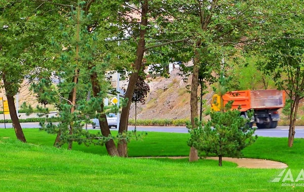 Laçında şəhərdaxili yollar sürətlə bərpa edilir - FOTO/VİDEO