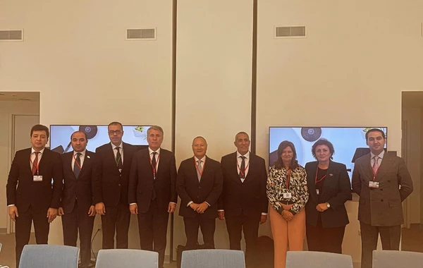 Azərbaycan nümayəndə heyəti NATO PA-nın illik sessiyası çərçivəsində görüşlər keçirib - FOTO