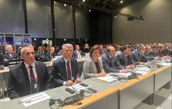 Azərbaycan nümayəndə heyəti NATO PA-nın illik sessiyası çərçivəsində görüşlər keçirib - FOTO