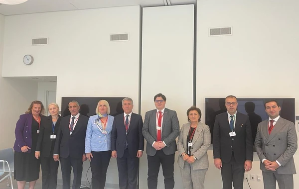 Azərbaycan nümayəndə heyəti NATO PA-nın illik sessiyası çərçivəsində görüşlər keçirib - FOTO