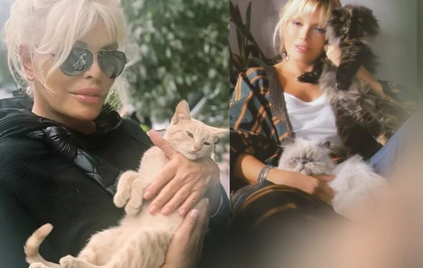 Ajda Pekkan pişiyi üçün 3 milyon xərclədi - FOTO