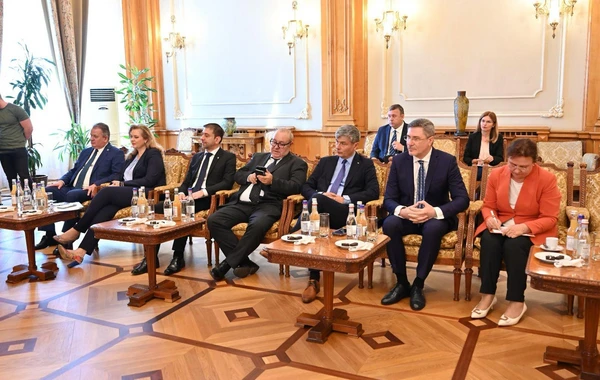 Nikolae Çuka: Rumıniya hər zaman Azərbaycanın ərazi bütövlüyünü tanıyıb - FOTO