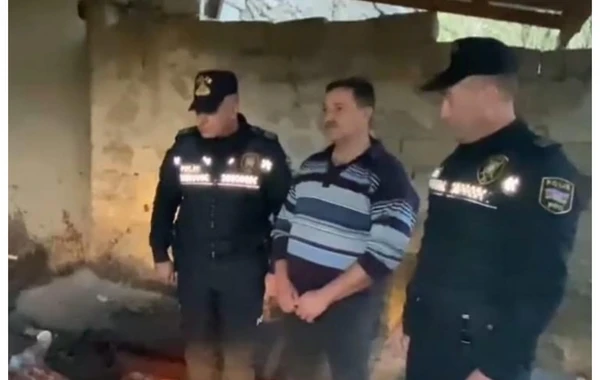 Şərurda 105 kq at əti aşkarlanıb