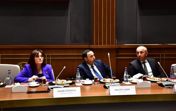 PA 30 dövlət qurumunun sözçüsünün Türkiyəyə səfərini təşkil edib - FOTO