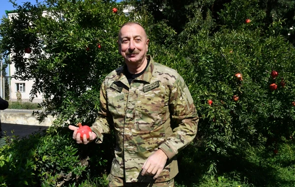 Prezident İlham Əliyev Ağdərə şəhərində Dövlət Bayrağını ucaldıb - YENİLƏNİB + FOTO