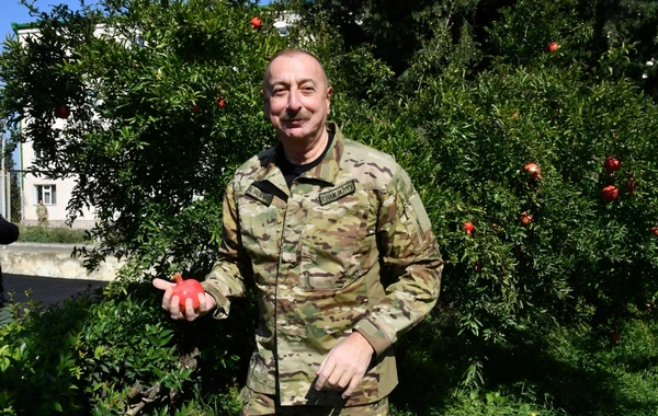 Ильхам Алиев поднял Государственный флаг Азербайджанской Республики в городе Агдере - ОБНОВЛЕНО + ФОТО