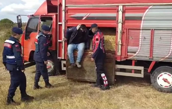 Qeyri-qanuni immiqrantlar ot bağlamaları arasında yaxalanıb - FOTO