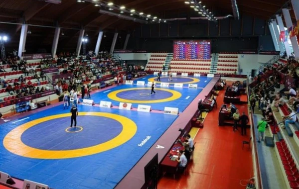 Azərbaycanın gənc güləşçiləri dünya çempionatında daha üç medal əldə ediblər