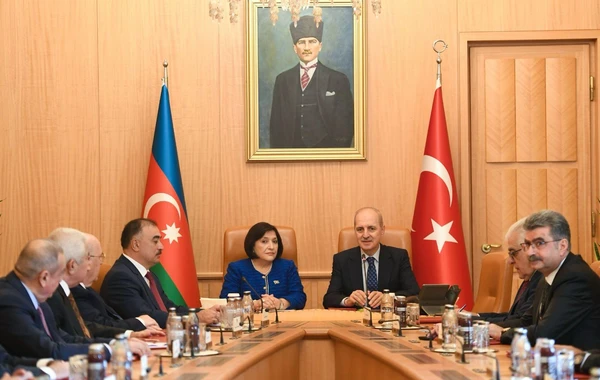 Sahibə Qafarova: “Azərbaycan və Türkiyə bütün məsələlərdə bir-birini dəstəkləyir” - FOTO