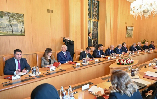Sahibə Qafarova: “Azərbaycan və Türkiyə bütün məsələlərdə bir-birini dəstəkləyir” - FOTO