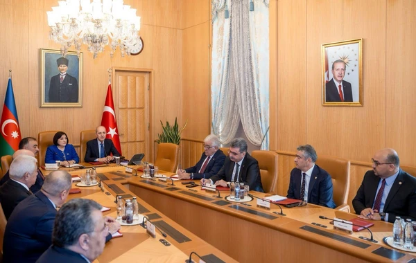 Sahibə Qafarova: “Azərbaycan və Türkiyə bütün məsələlərdə bir-birini dəstəkləyir” - FOTO