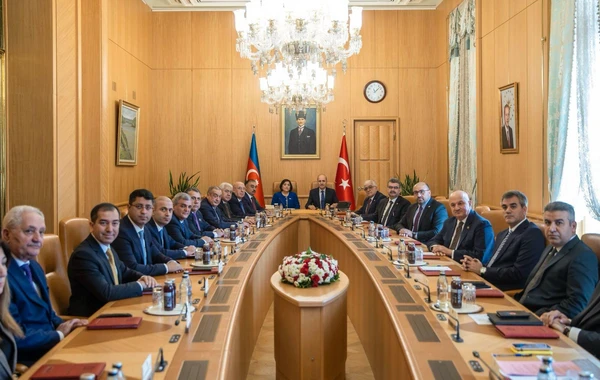 Sahibə Qafarova: “Azərbaycan və Türkiyə bütün məsələlərdə bir-birini dəstəkləyir” - FOTO