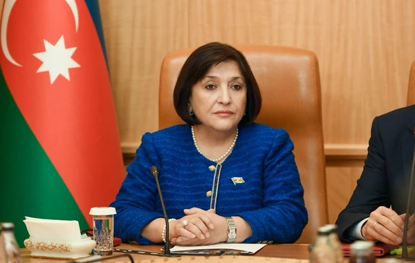 Sahibə Qafarova: “Azərbaycan və Türkiyə bütün məsələlərdə bir-birini dəstəkləyir” - FOTO