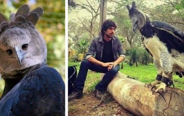 Təbiətin nadir görüntüləri - FOTO