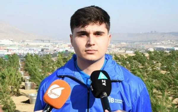 Mövsümlə əlaqədar paytaxtda növbəti ağacəkmə aksiyası keçirildi - FOTO