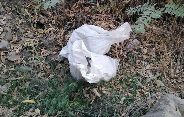 İran-Azərbaycan sərhədində 5 kiloqrama yaxın narkotik tapılıb - FOTO