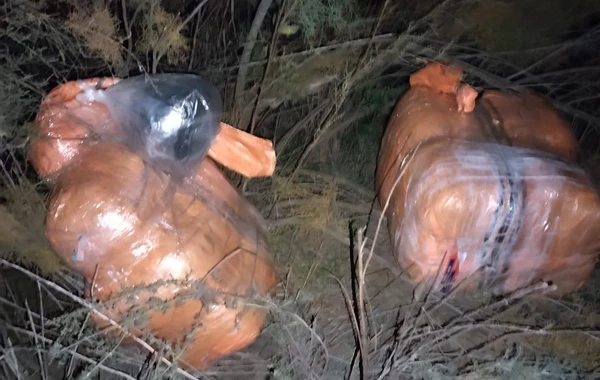 42 kiloqram narkotikin Azərbaycana keçirilməsinin qarşısı alınıb - FOTO