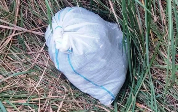 42 kiloqram narkotikin Azərbaycana keçirilməsinin qarşısı alınıb - FOTO