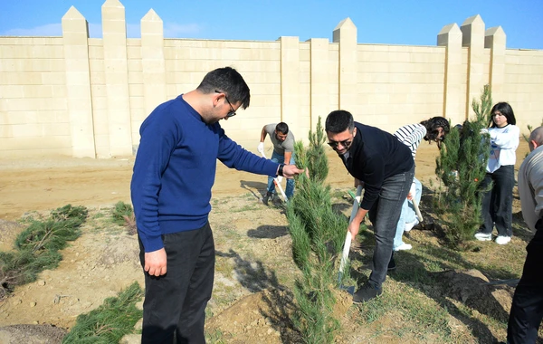 "AzInTelecom" провел акцию по посадке деревьев по случаю Дня Победы - ФОТО