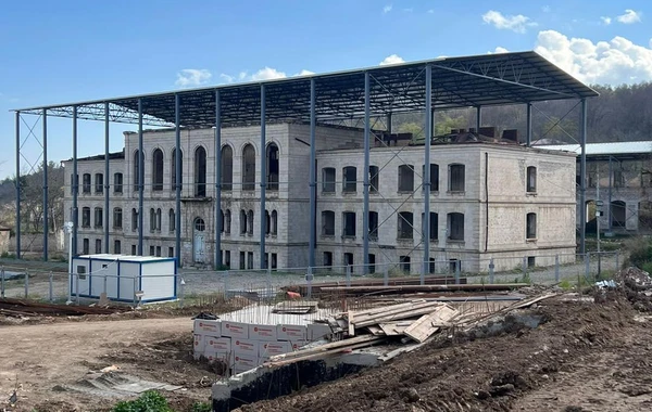 Mehriban Əliyeva Şuşadan fotolar paylaşıb - FOTO