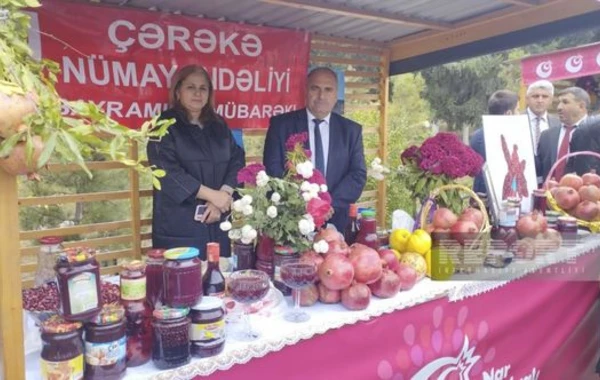 Göyçayda XV Nar festivalı keçirilir - FOTO