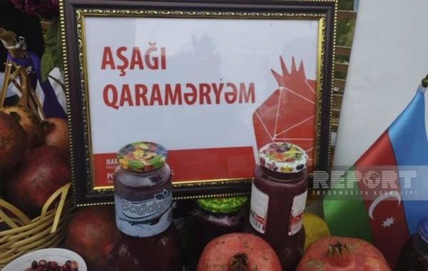 Göyçayda XV Nar festivalı keçirilir - FOTO
