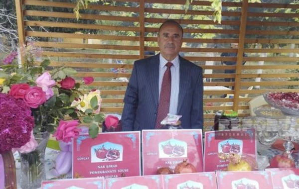 Göyçayda XV Nar festivalı keçirilir - FOTO