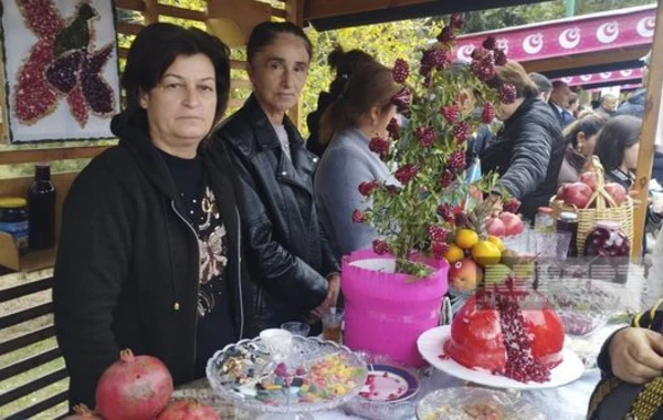 Göyçayda XV Nar festivalı keçirilir - FOTO
