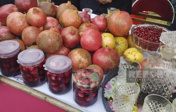 Göyçayda XV Nar festivalı keçirilir - FOTO