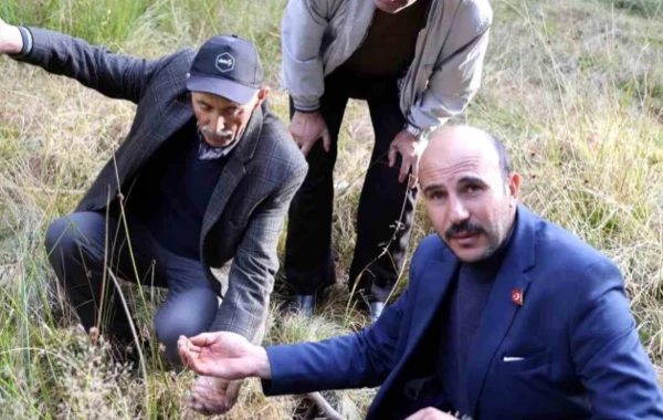 Sivasda neft çıxıb? Əhali sevinc içindədir - FOTO