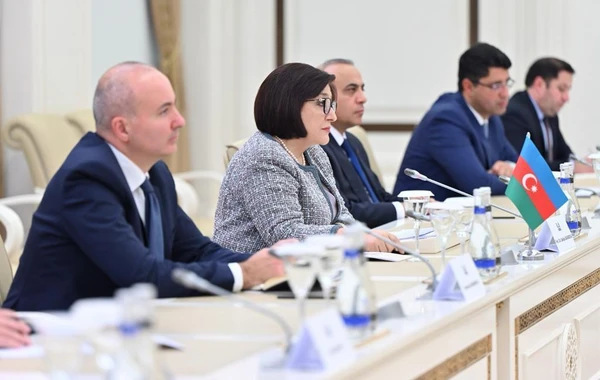 Milli Məclisin sədri ATƏT Parlament Assambleyasının prezidenti ilə görüşüb - FOTO