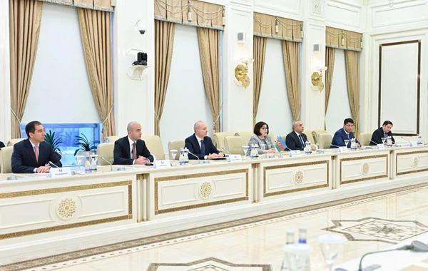 Milli Məclisin sədri ATƏT Parlament Assambleyasının prezidenti ilə görüşüb - FOTO