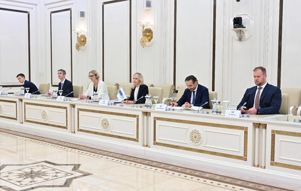 Milli Məclisin sədri ATƏT Parlament Assambleyasının prezidenti ilə görüşüb - FOTO