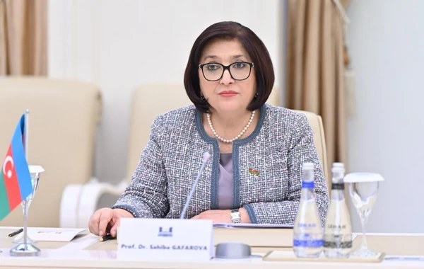 Milli Məclisin sədri ATƏT Parlament Assambleyasının prezidenti ilə görüşüb - FOTO