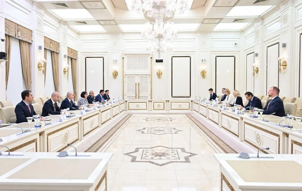 Milli Məclisin sədri ATƏT Parlament Assambleyasının prezidenti ilə görüşüb - FOTO
