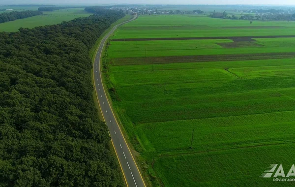 Masallıda 51 min əhalinin istifadə etdiyi yollar yenidən qurulub - FOTO/VİDEO