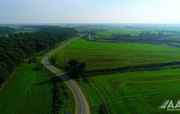 Masallıda 51 min əhalinin istifadə etdiyi yollar yenidən qurulub - FOTO/VİDEO