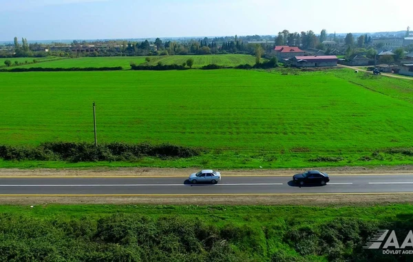 Masallıda 51 min əhalinin istifadə etdiyi yollar yenidən qurulub - FOTO/VİDEO