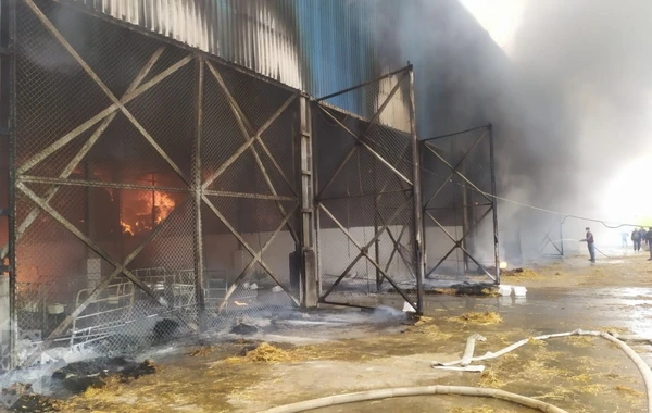 “Yalama Aqropark”da yanğın baş verib - FOTO/VİDEO