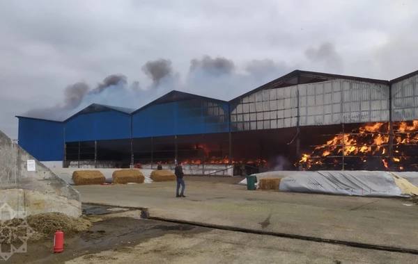 “Yalama Aqropark”da yanğın baş verib - FOTO/VİDEO