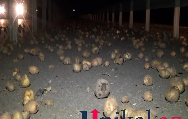 Kartof daşıyan yük maşını minik avtomobili ilə toqquşdu - Xəsarət alan var - FOTO