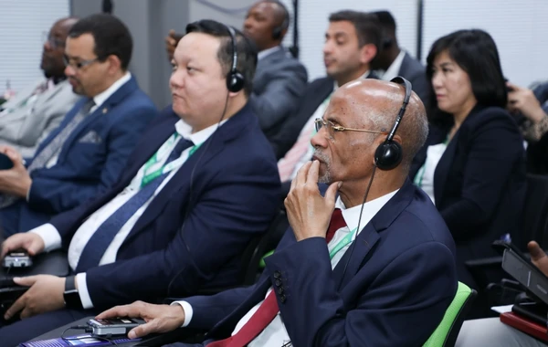 İslam ölkələrinin nazirləri DOST Mərkəzində olublar - FOTO