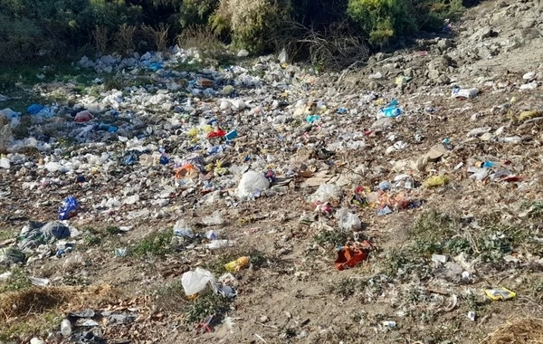Azərbaycanda vəzifəli şəxslər məsuliyyətə cəlb olundu - FOTO
