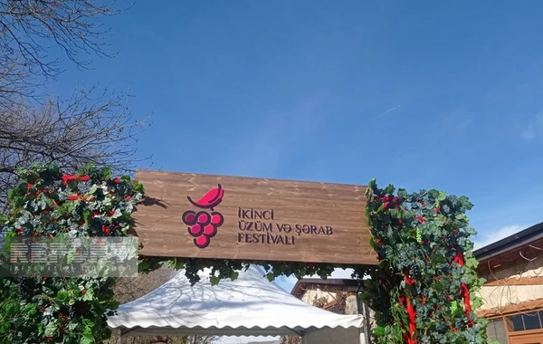 Şamaxıda II Üzüm və Şərab Festivalı keçirilir - FOTO