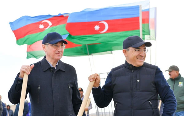 Heydər Əliyevin 100 illik yubileyinə həsr olunmuş ağacəkmə aksiyası keçirilib - FOTO