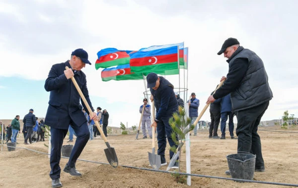 Heydər Əliyevin 100 illik yubileyinə həsr olunmuş ağacəkmə aksiyası keçirilib - FOTO