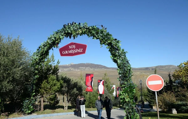 Şamaxıda İkinci Üzüm və Şərab Festivalı başa çatıb - FOTO