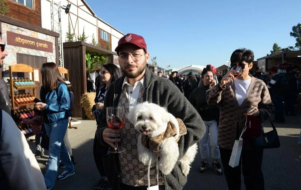 Şamaxıda İkinci Üzüm və Şərab Festivalı başa çatıb - FOTO